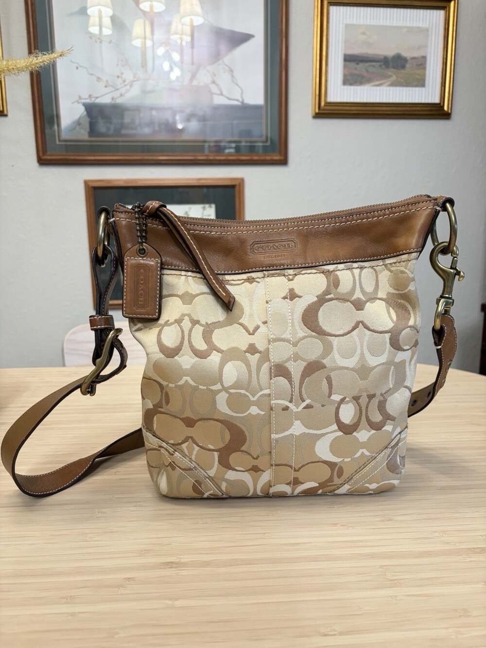 Vintage Coach Signature Canvas Crossbody in Brown Y2K Nostalgia Early Autumn